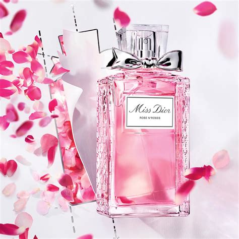 dior roses perfume|Dior rose n roses 100ml.